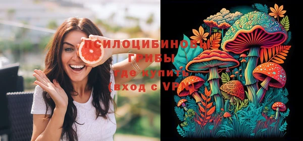 МДПВ Заволжье