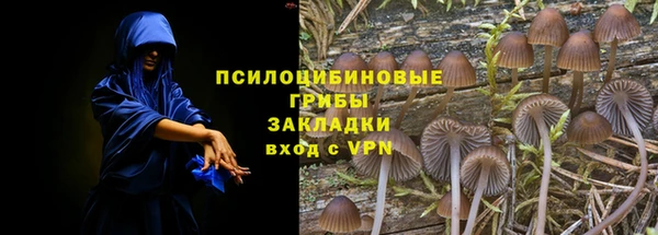 амфетамин Елизово